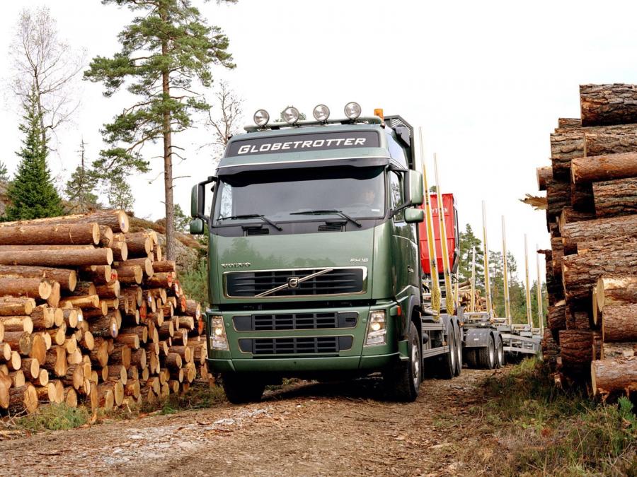  Volvo FH16 Timber Truck 2003 года  (фото 7 из 10)
